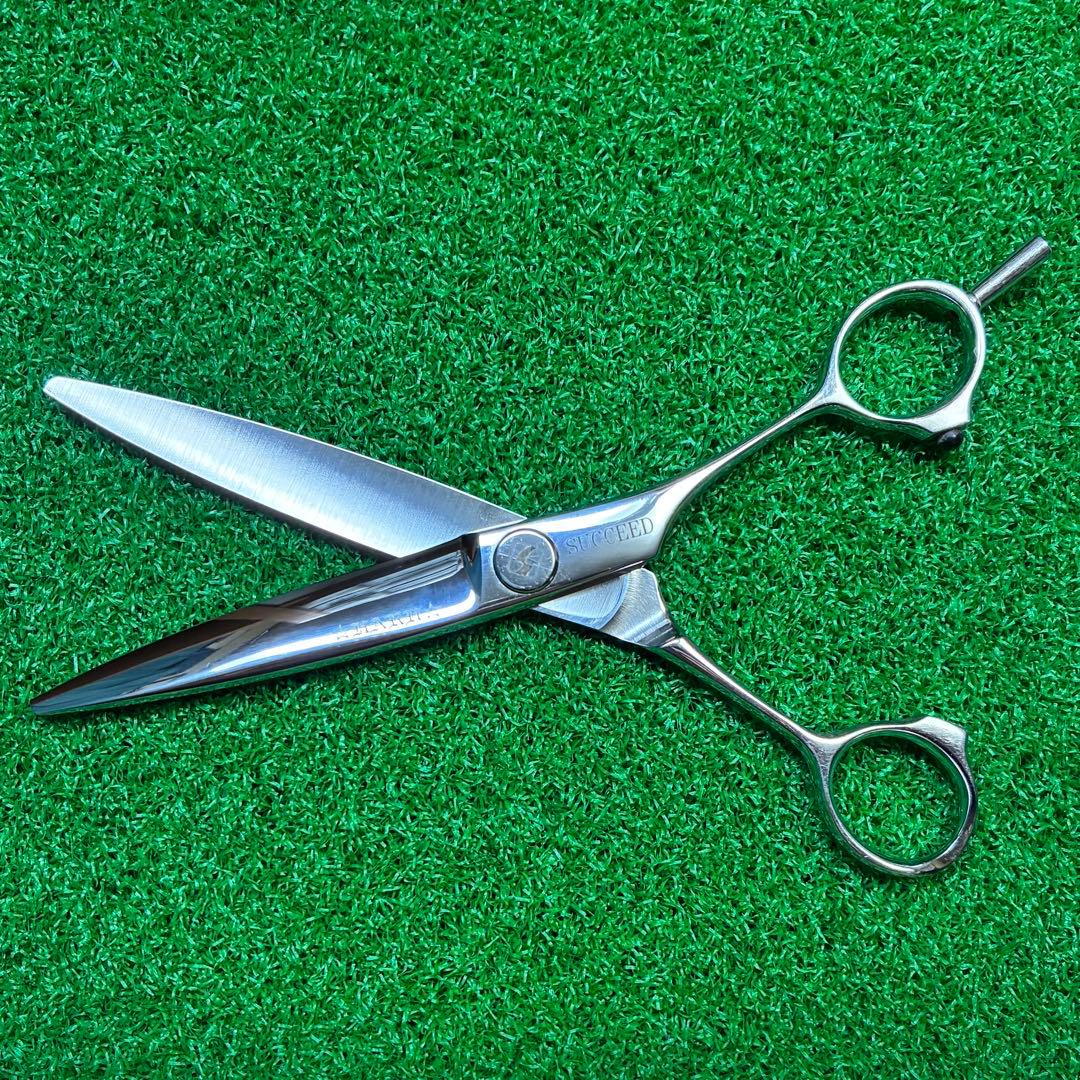 SUCCEED(サクシード) 6.1サンドラ