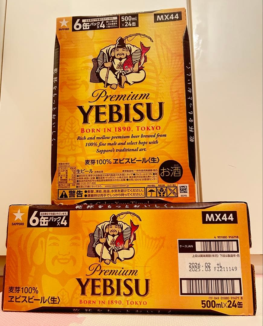 エビスビール500ml 2箱セット（計48缶） (11300/2箱)