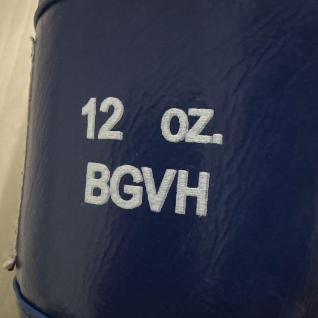 RISE ボクシンググローブ 12oz ホワイト/ブルー