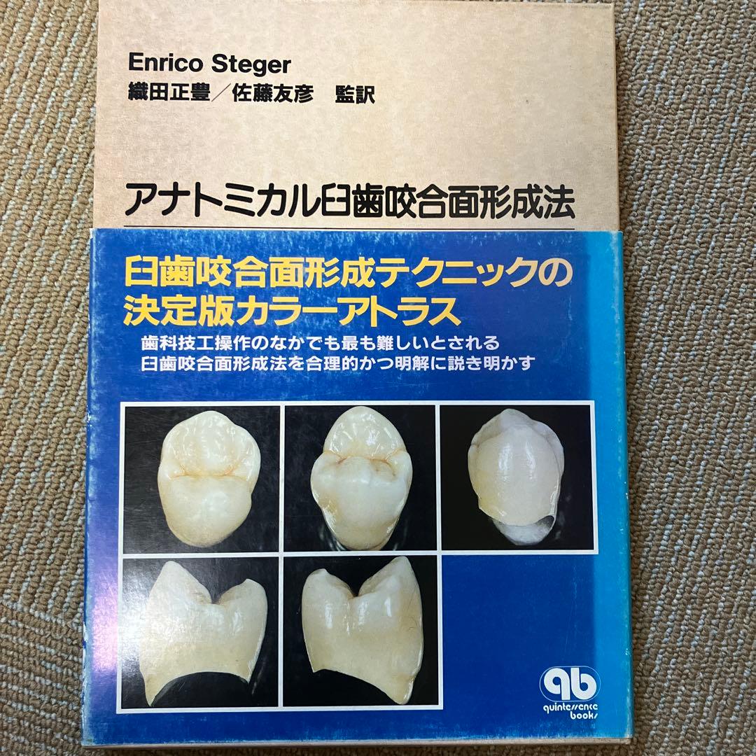 アナトミカル白齒咬合形成法　歯科　歯科技工　レア