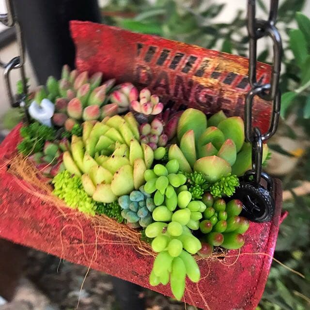 ★多肉植物　寄せ植え〜リメ缶チェーン寄せ〜★
