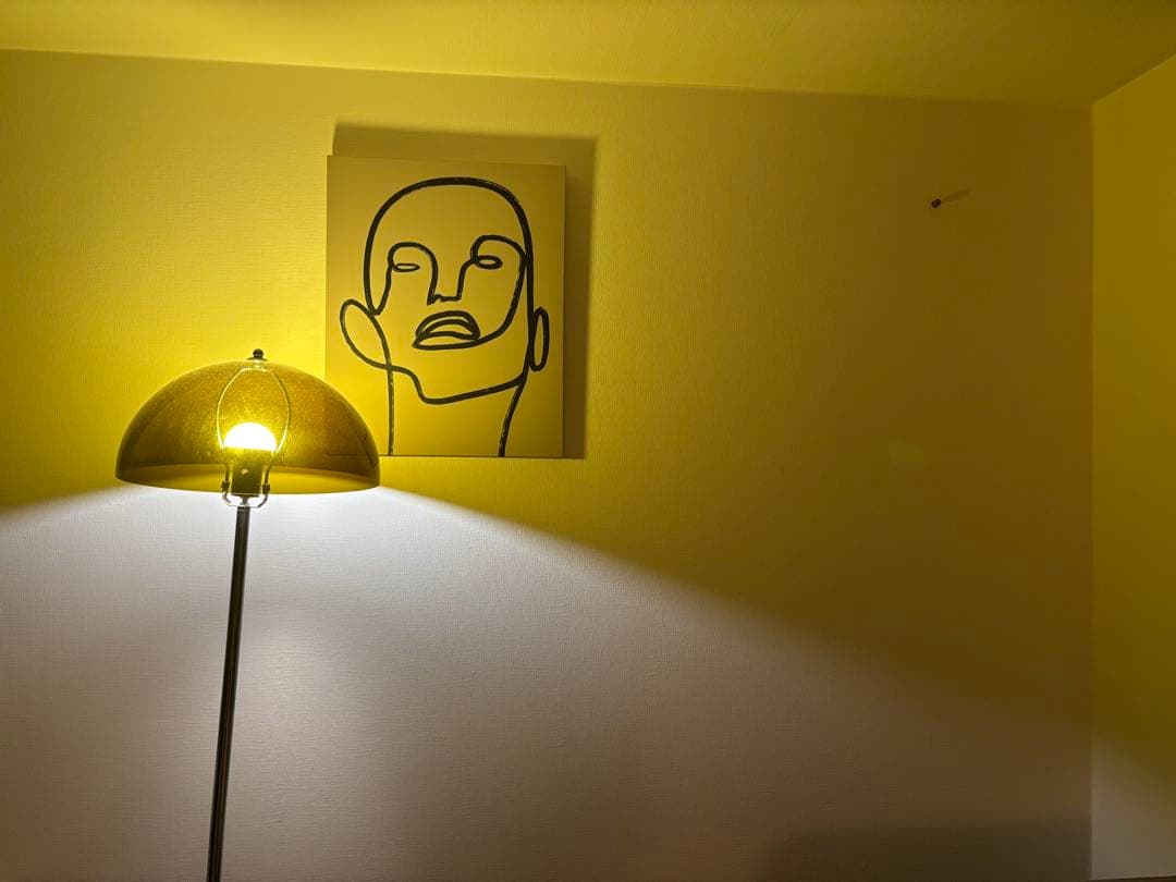 Salty mushroom floor lamp 照明