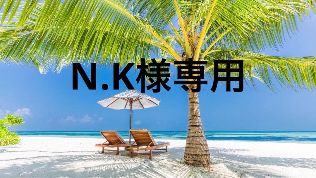 その他 N.K