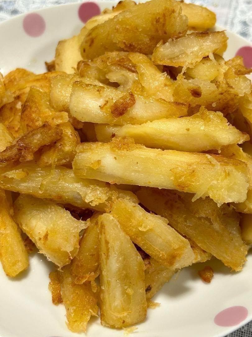 本物の太葉、ゴールデン種/キャッサバ★80サイズ段ボール大箱満杯★挿し木枝★普及