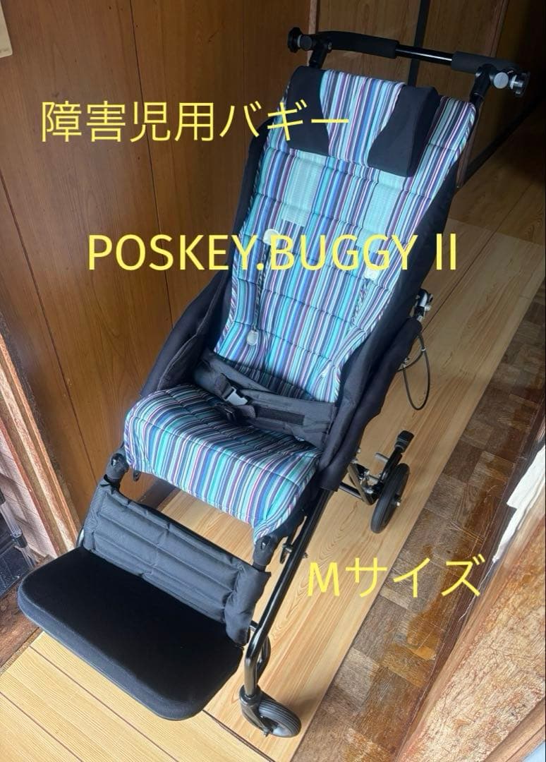 【HIMAWARI】障害児用バギー　POSKEY. BUGGY Ⅱ