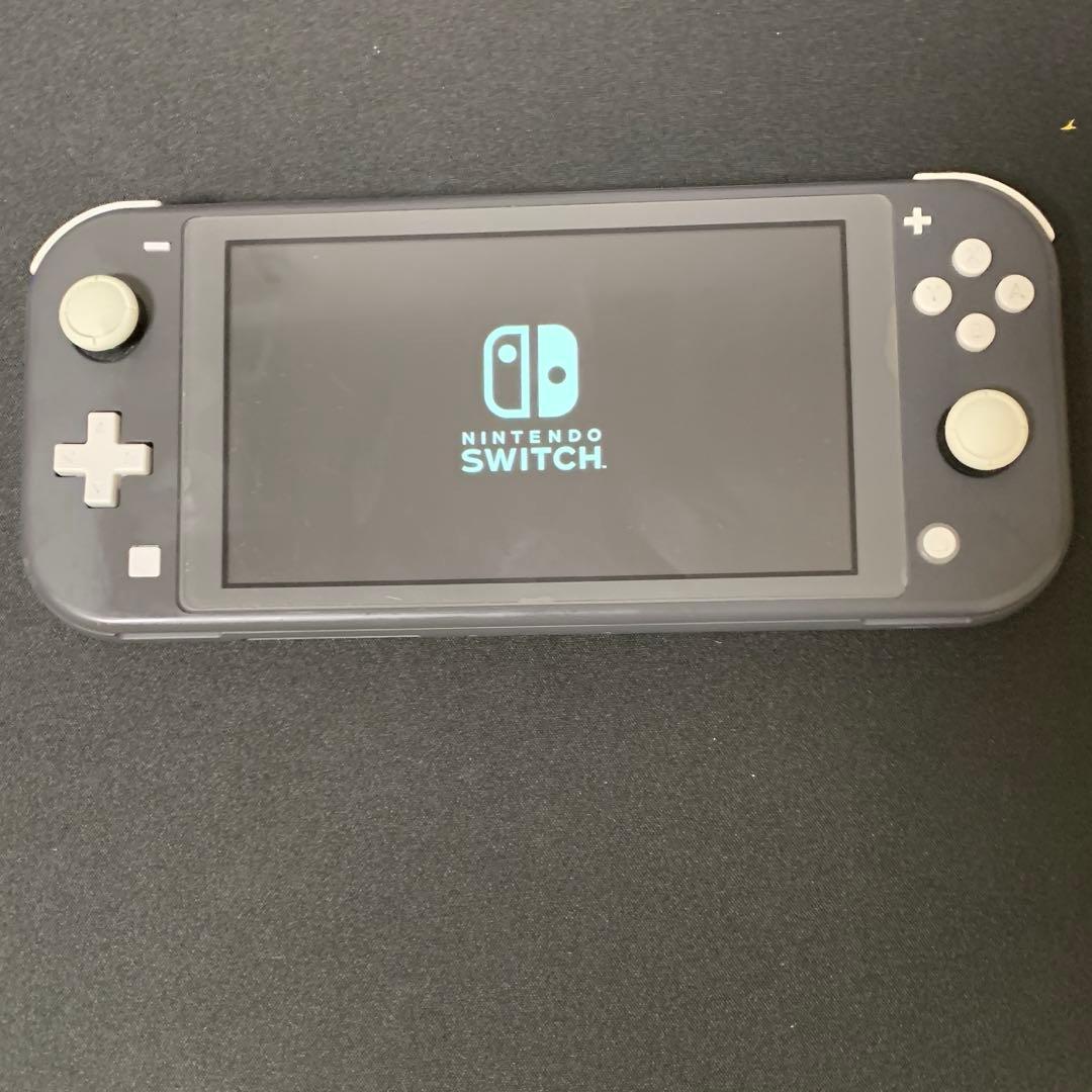 Nintendo Switch Lite 値下げ可本体動作確認済み動作不良なし