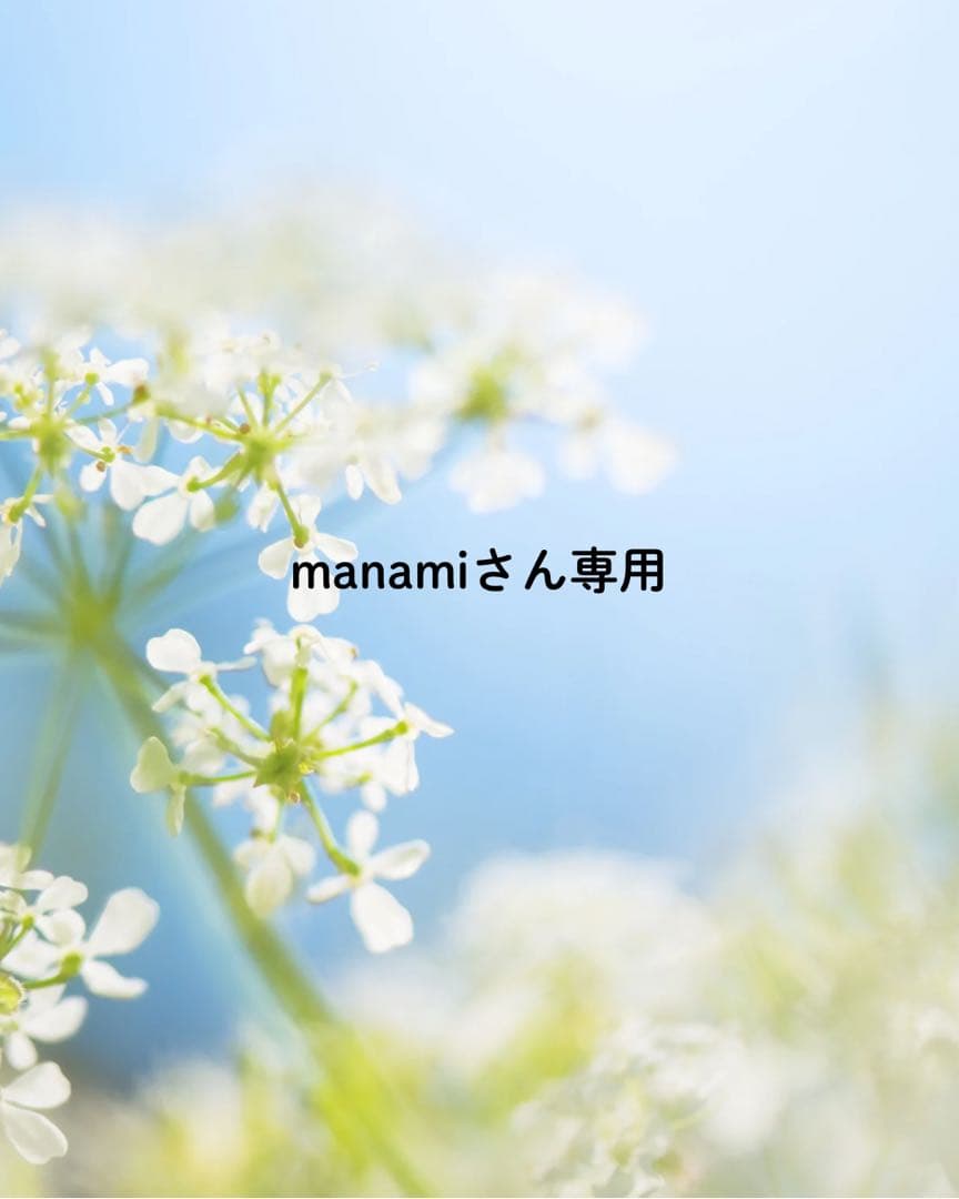 manamiさん専用